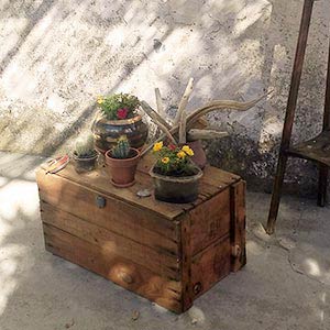Un coffre, des plantes grasses en pot et un gueridon en decoration de terrasse